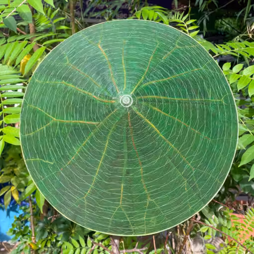 Nón lá sen huế vẽ tay sen tím 02